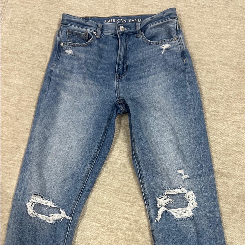 American Eagle Outfitters Mom Jeans Size 2 Regular